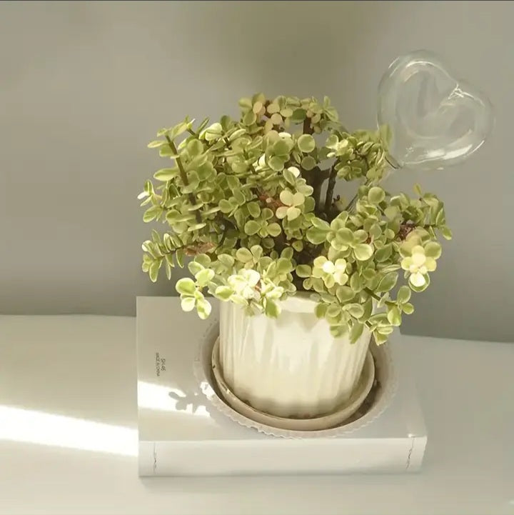 Bulle d'arrosage en forme de coeur