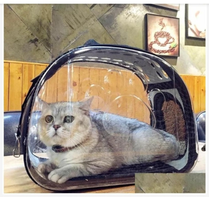 Transporteur vitré pour chat