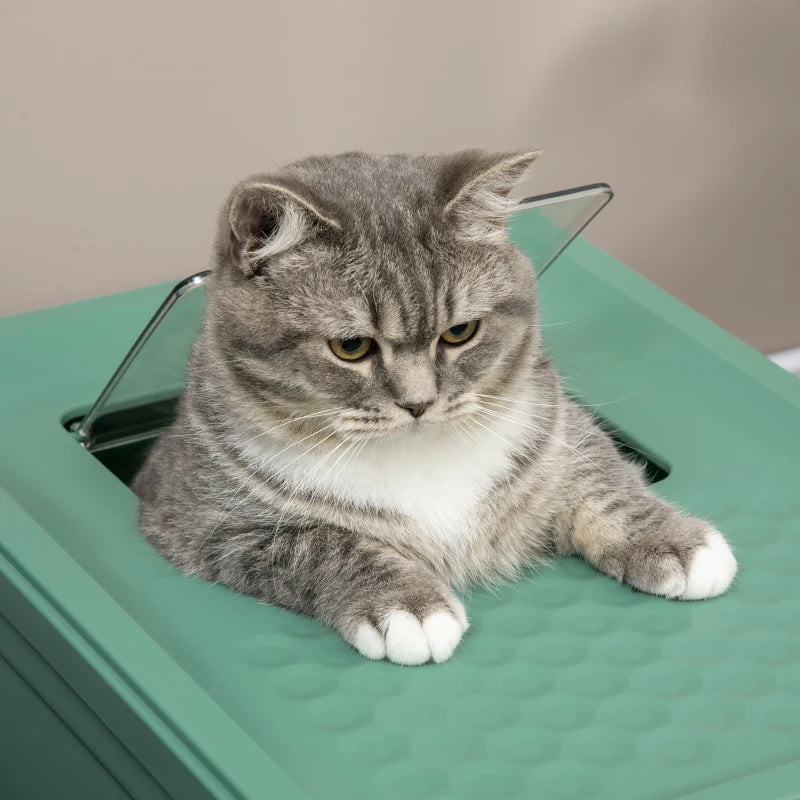Grande litière Pawhut d'entretien facile