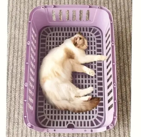 Transporteur de voyage pour petit animal