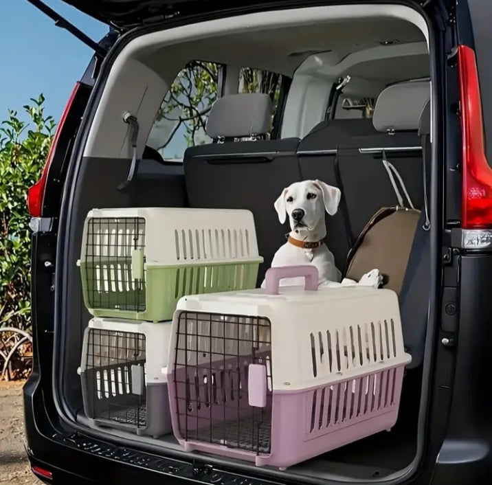 Transporteur de voyage pour petit animal