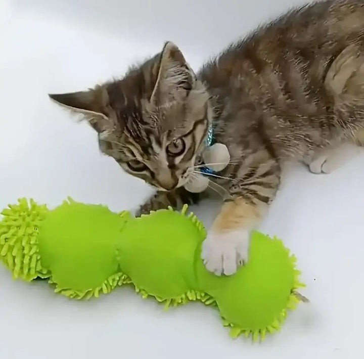 Jouet Barry le ver vert