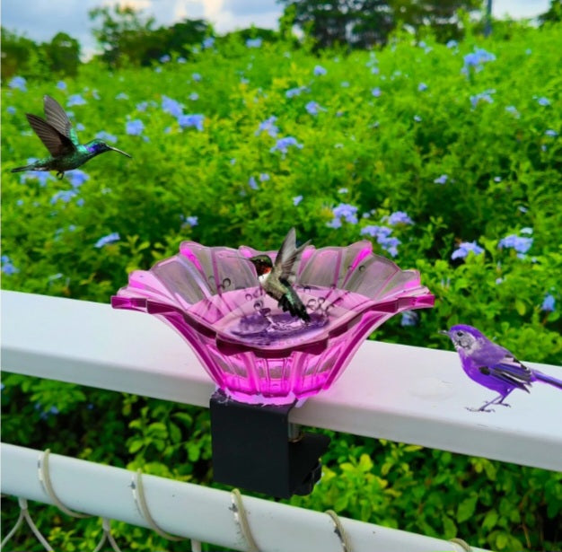 Fontaine ou mangeoire pour oiseaux