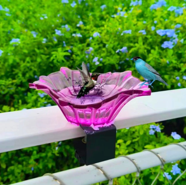 Fontaine ou mangeoire pour oiseaux